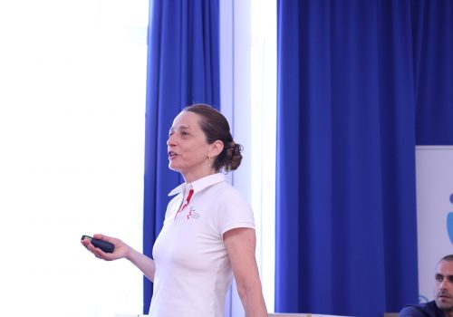 RADIONICA O HALLWICK KONCEPTU- Ana Sršen